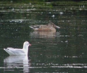 2013-09-06 12.31.47 copy