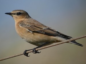 2013-09-09 16.04.21 copy