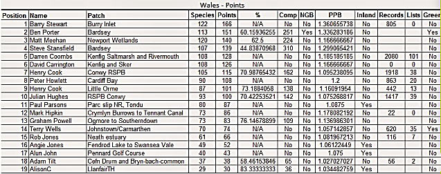 Patchwork Challenge - April's Welsh Minileague