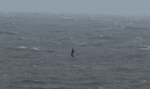 Porthcawl 07May14 1800-1840