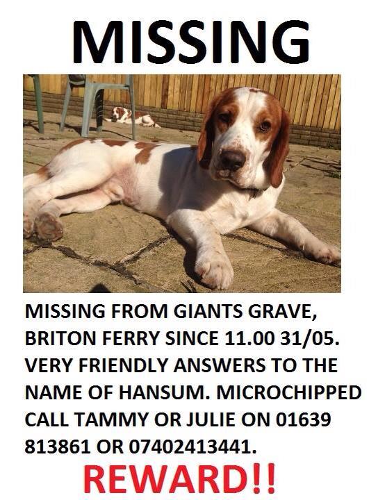 Sorry Guys Not Bird Related