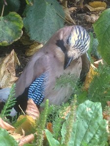 11311_10205026100515901_3093375731438801067_n