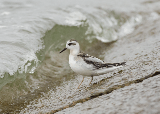 Screen Shot 2014-09-23 at 19.32.13