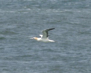 18 June Broughton Canon 007