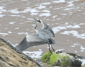 18 June Broughton Canon 027