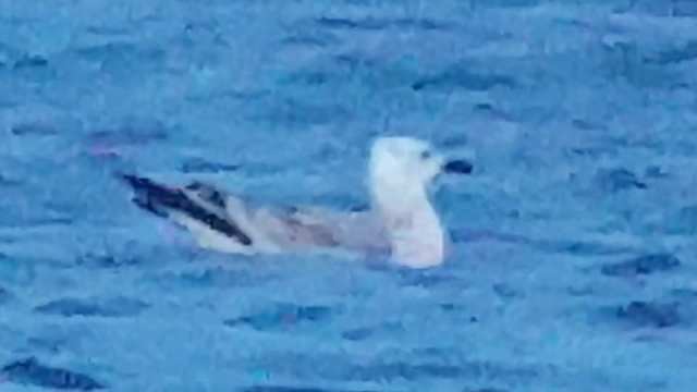 26815242_10159934495295596_1885510334950114239_n