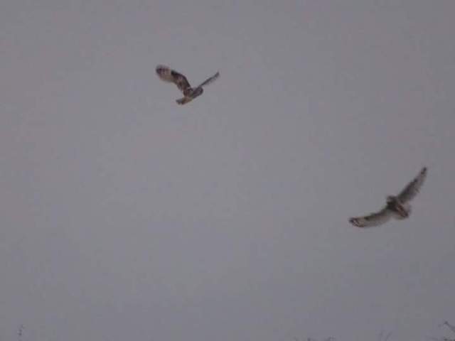 FB_IMG_1515793733109